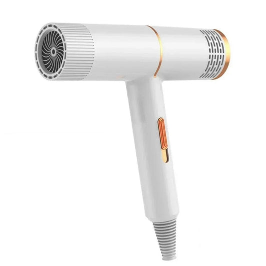 Professional Infrared Hair Dryer