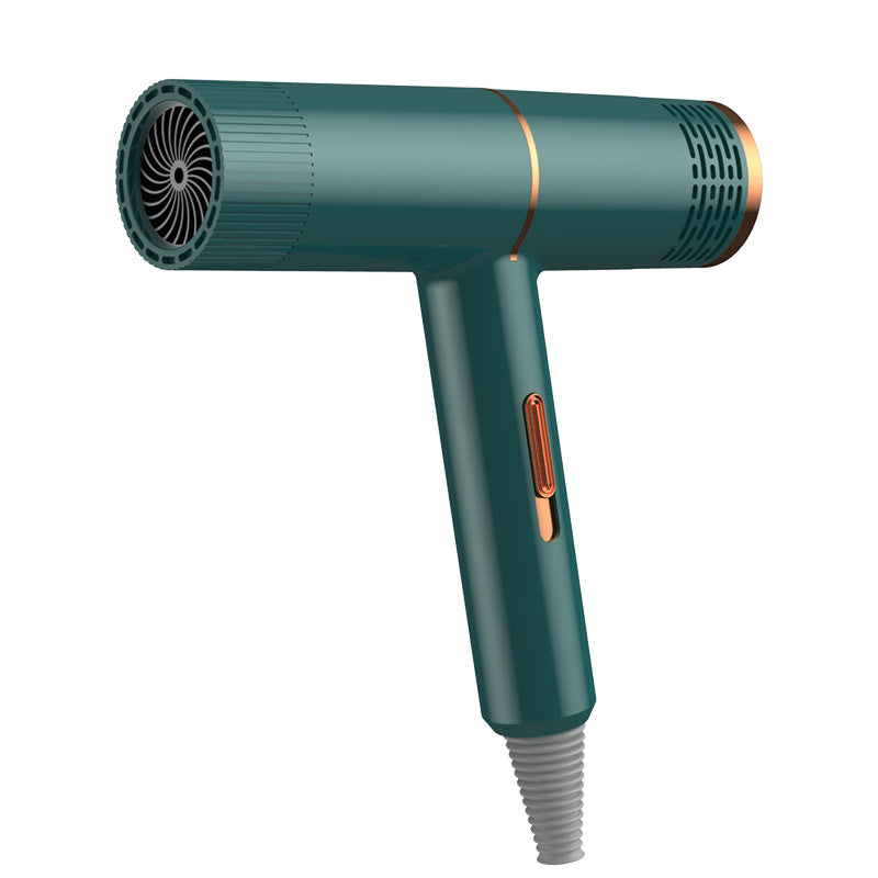 Professional Infrared Hair Dryer